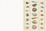 Collage Compendium