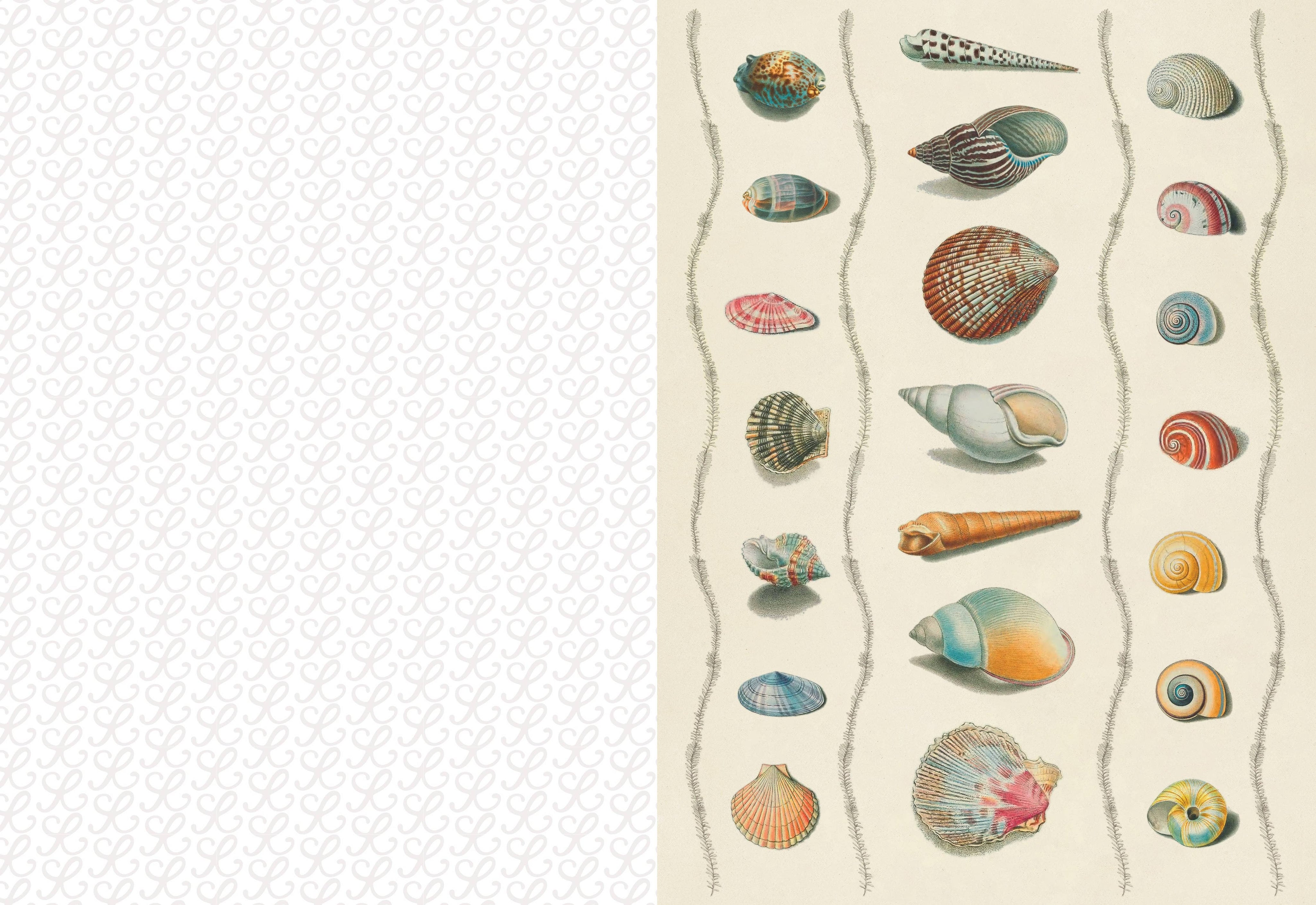 Collage Compendium