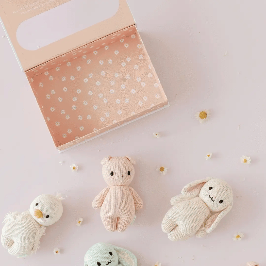 Baby_piglet_7.webp