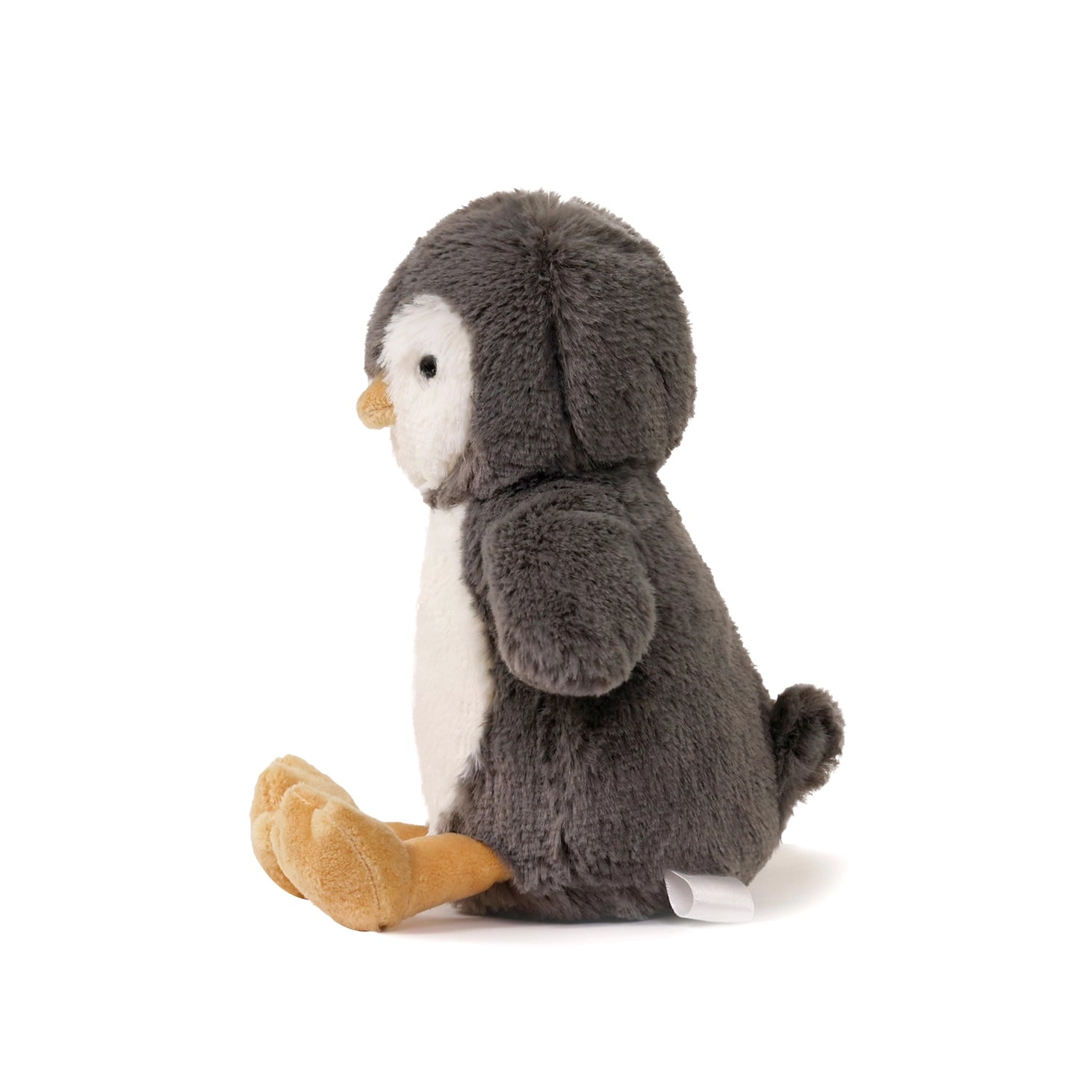 LittleIggyPenguin2.webp