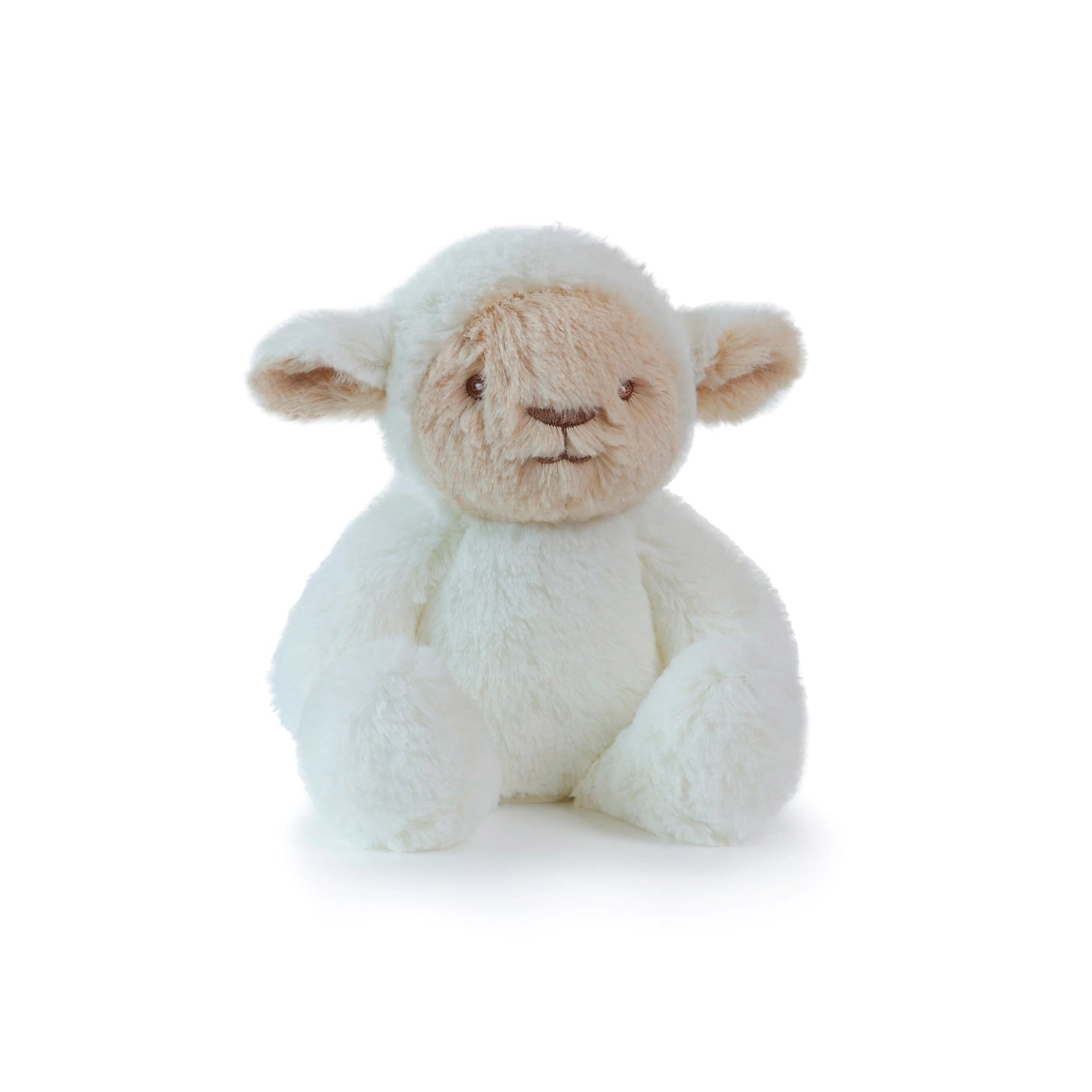 LittleLeeLamb1.webp