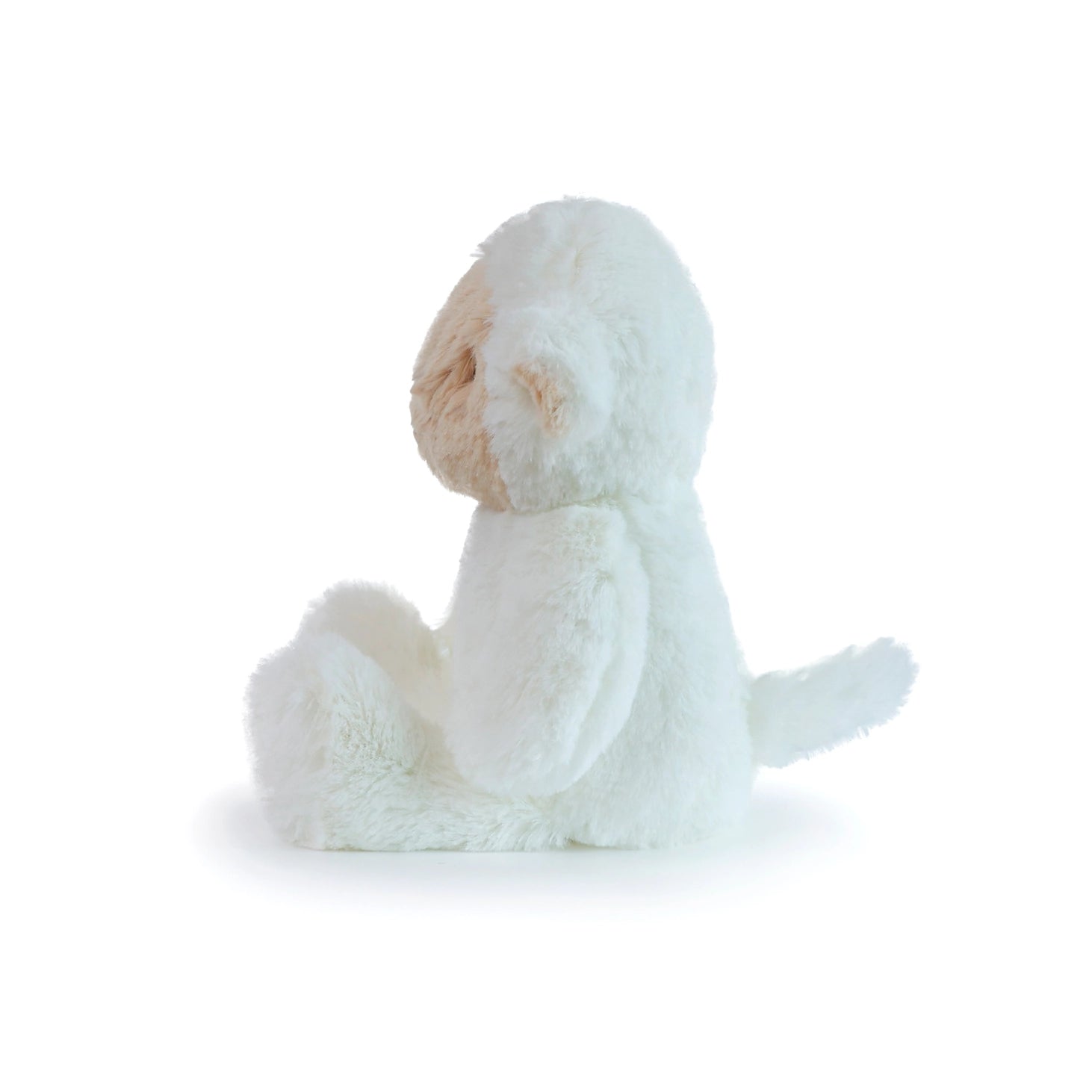 LittleLeeLamb2.webp