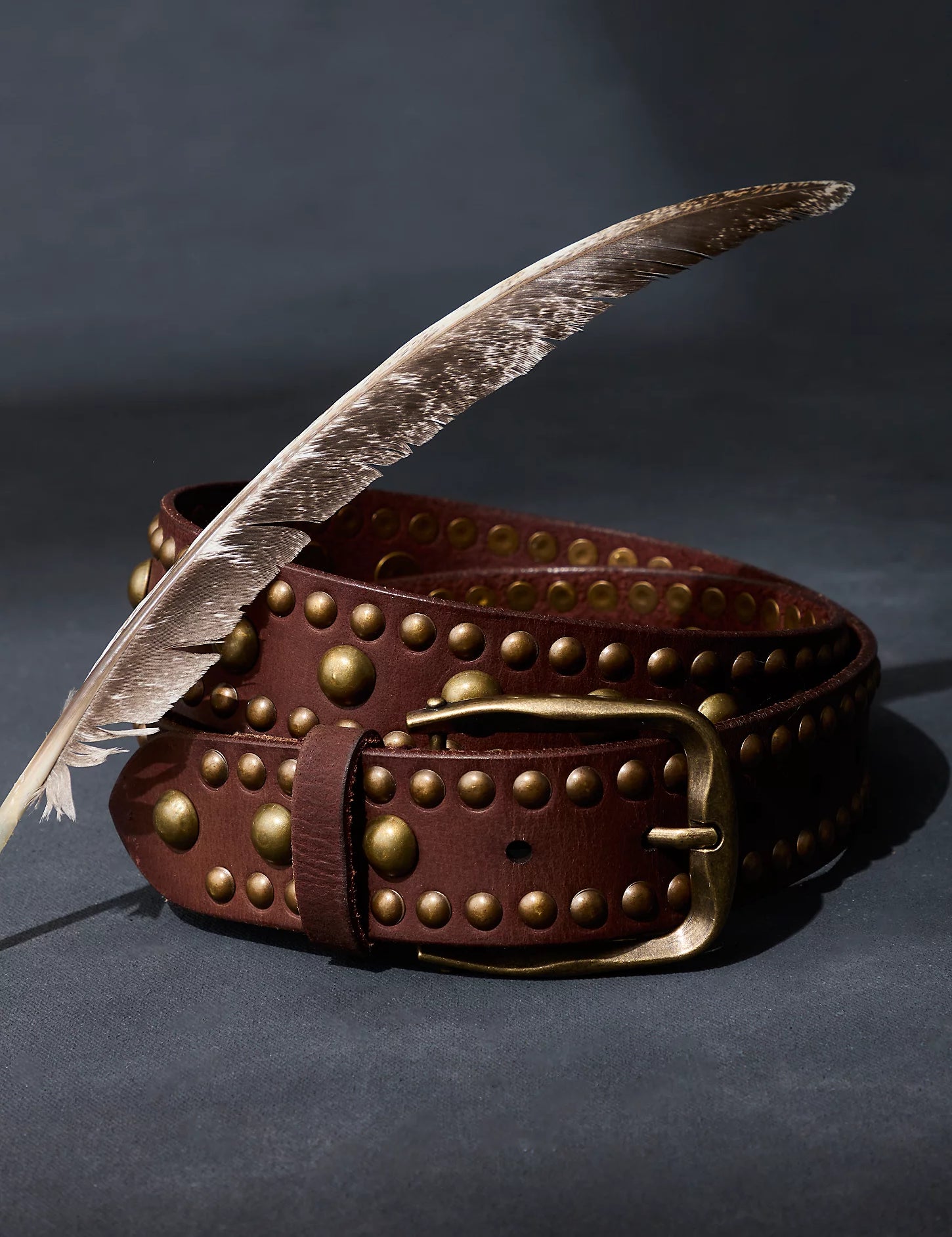 SolaStudBelt9.webp
