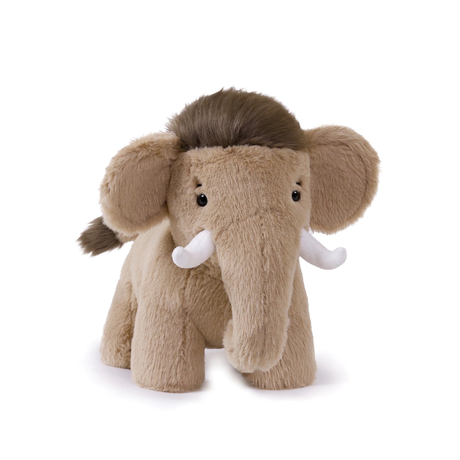 WoolberthWoolyMammoth1.webp