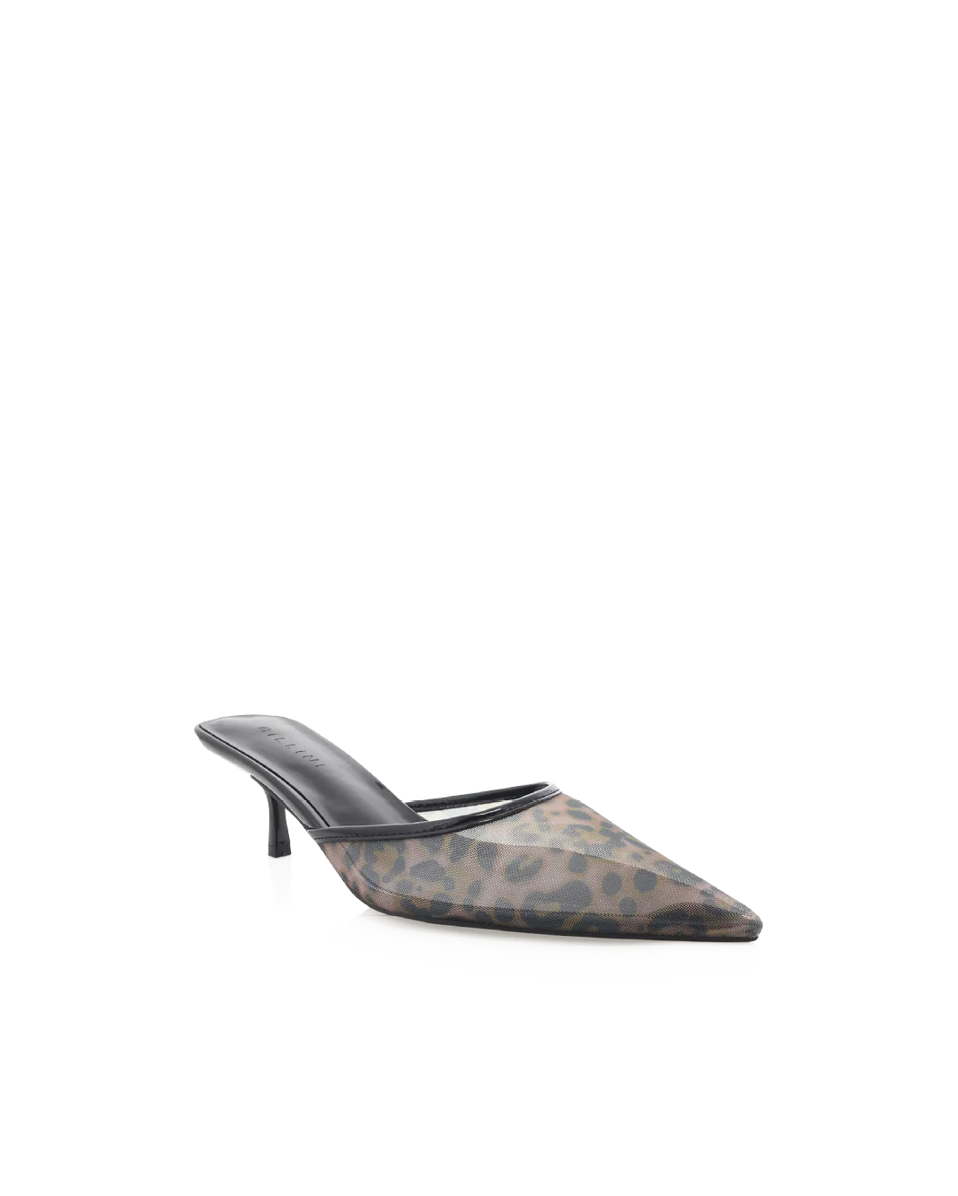 Winton Heel